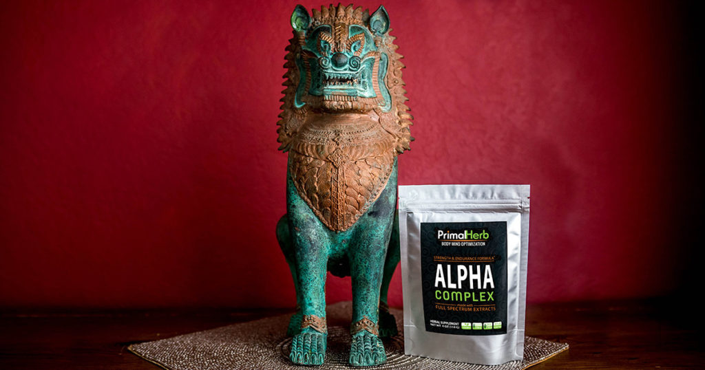 Power mushrooms in a powder