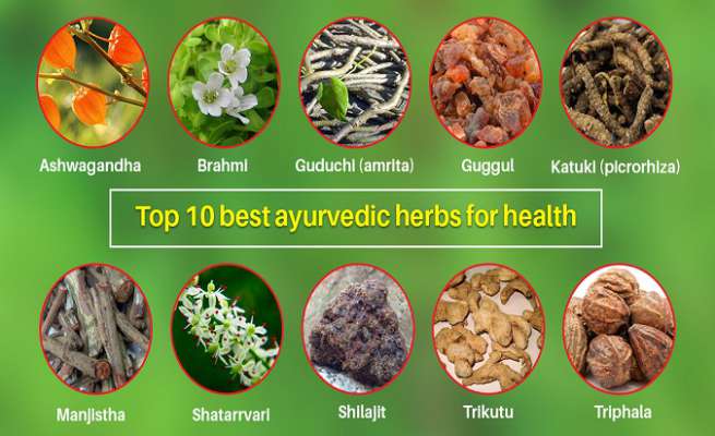 Ayurvedic Medicine's Herbs